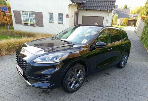 Ford 2.5 Duratec 190 ch FHEV I-AWD Powershift ST-Line