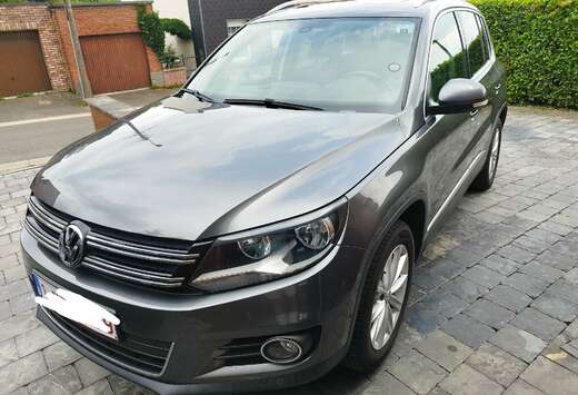 Volkswagen 2.0 TDI 110 FAP BlueMotion Sport