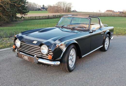 Triumph TR250