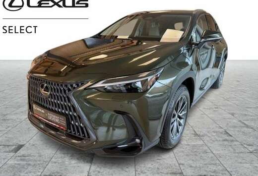 Lexus 2.5  HSD Executive Line