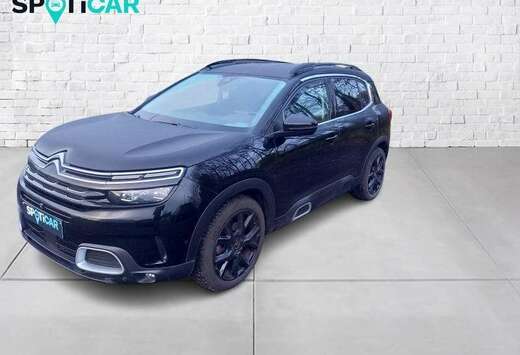 Citroen Shine es 131