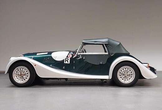 Morgan Morgan leightweight