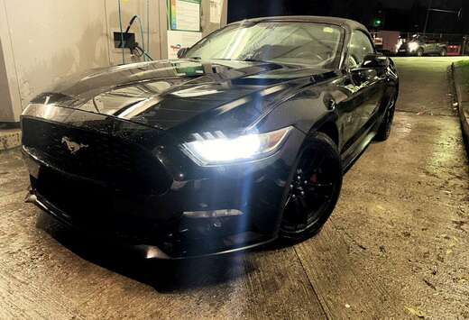 Ford Convertible 2.3 EcoBoost
