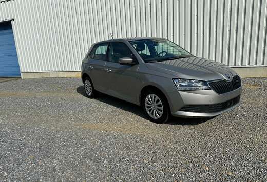 Skoda Fabia 1.0i benzine met garantie en Car-Pass