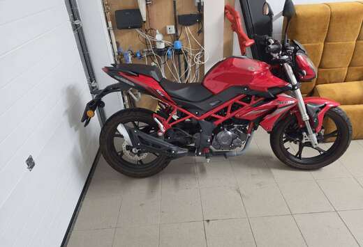 Sport