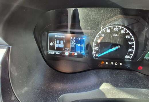 Ford 2,0 l TDCi Panther Autm. Wildtrak