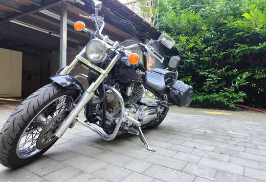 Dragstar 1000