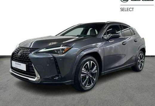 Lexus Privilege Line & Mark Levinson