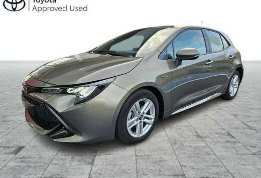 Toyota Dynamic + Leder