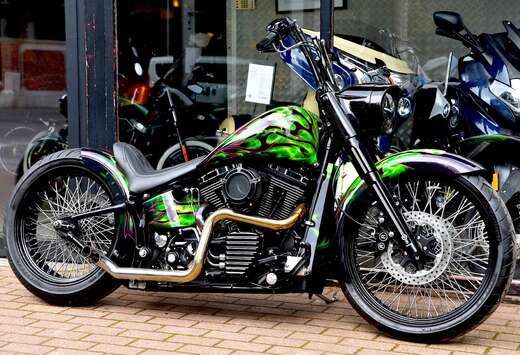 CUSTOM SHOW BIKE ***MOTO VERTE***