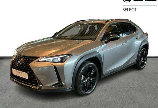 Lexus BLACK LINE