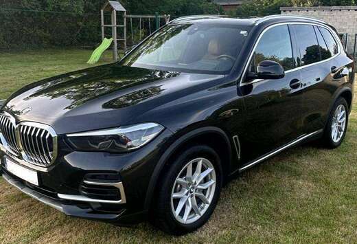 BMW X5 2.0 dA xDrive25 AdBlue (EU6AP)
