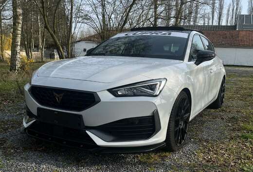 ST 2.0 TSI 4Drive DSG