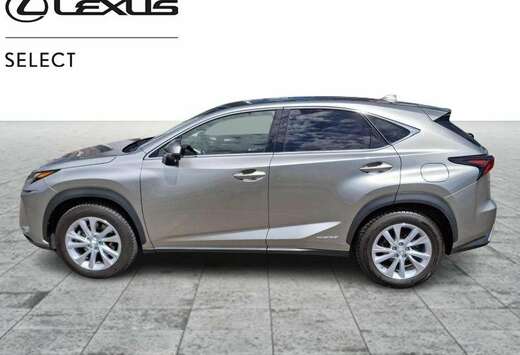 Lexus Executive