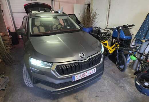 Skoda 2.0 CR TDi SCR Clever DSG