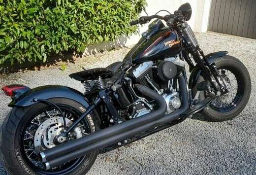 Harley Davidson Cross Bones