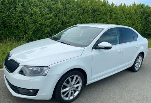 Skoda 1.6 TDI Ambition DSG