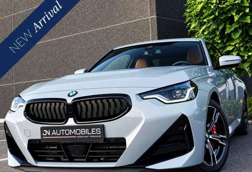 BMW Coupé FACELIFT | PACK M | GRIS NARDO | H&K SOUND ...