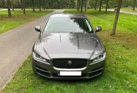 Jaguar 2.0 D Prestige (EU6.2)