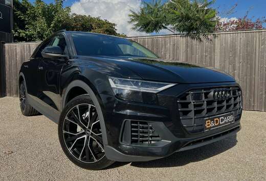 Audi 55 TFSI quattro tiptronic LICHTE VRACHT/UTILITAI ...