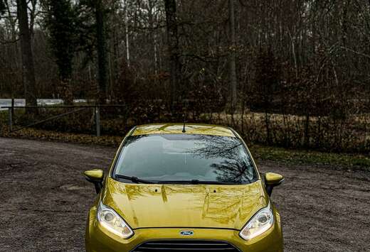 Ford Ford Fiesta 1.0 Ecoboost 2014