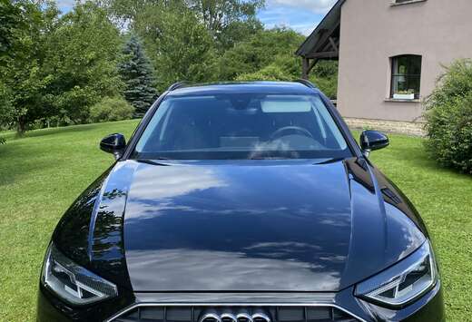 Audi Avant 30 TDi Business Edition S tronic (EU6AP)