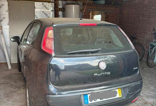 Fiat 1.2 8V Active