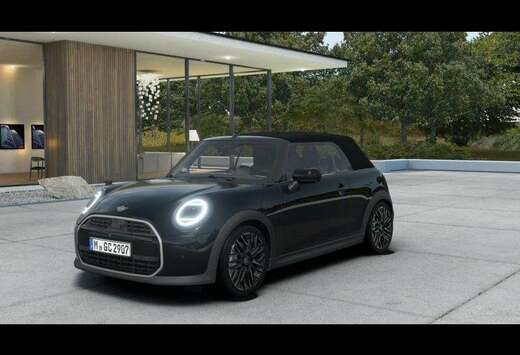 MINI Pack XL - Favoured Trim