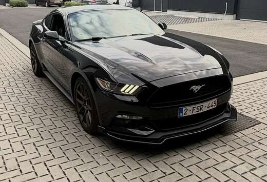 Ford 2.3 Eco Boost Aut.