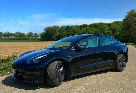 Tesla Langstreckenbatt. Allradantrieb Dual Motor