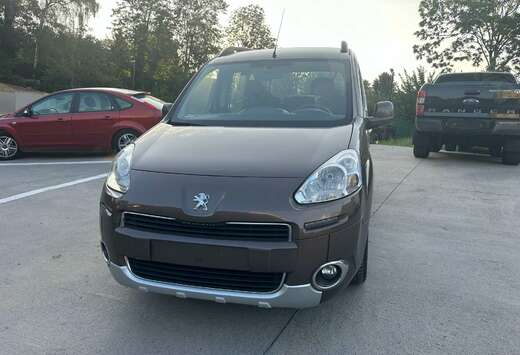 Peugeot Tepee 1.6 HDi Access