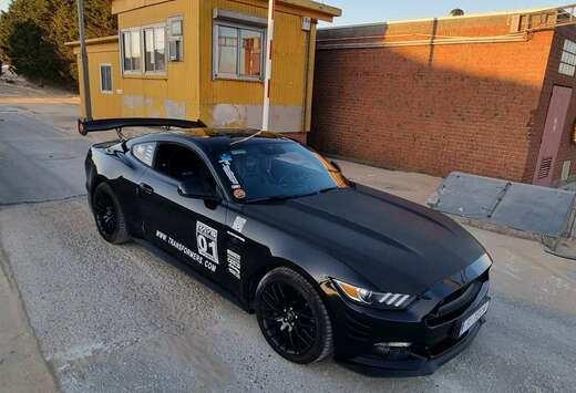 Ford Fastback 5.0 Ti-VCT V8 GT