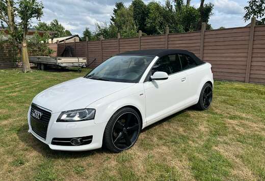 Audi A3 Cabriolet 1.6 TDi Ambition S line Start/Stop  ...