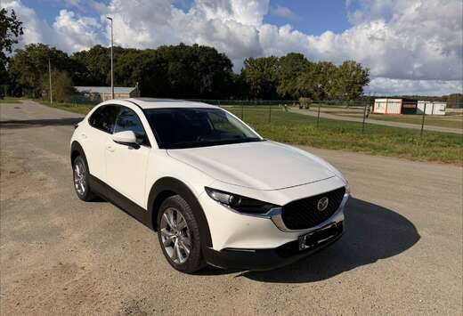 Mazda Skyactiv-X 186 pk Automaat | Bose | Panoramadak ...