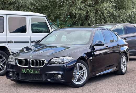 BMW 518 dA - M-Pakket - 1 Jaar Garantie