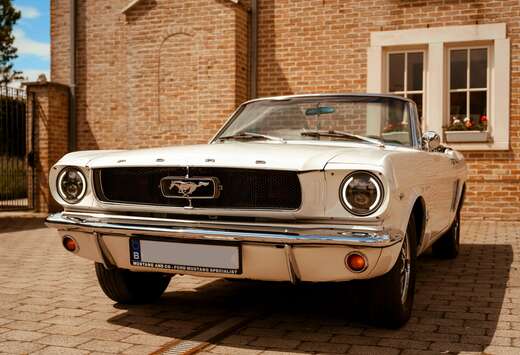 Ford V8 4.7 289 convertible
