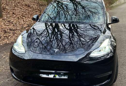 Tesla Model Y 378kWh 4WD Performance