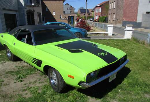 Dodge