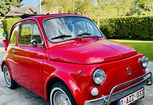 Fiat Magnifique Fiat 500L de 1969