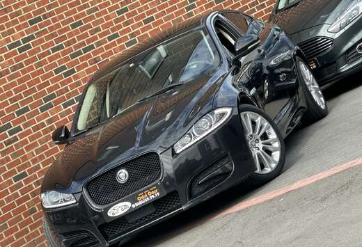 Jaguar // FULL OPTION //