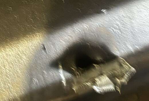 Nissan 1.5 dCi 2WD Visia