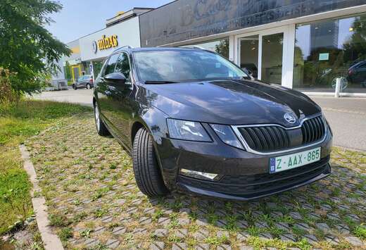 Skoda 1.4 TSI CNG Ambition DSG