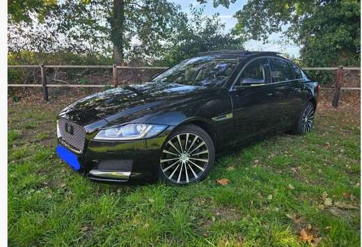 Jaguar E-Performance Aut. Prestige