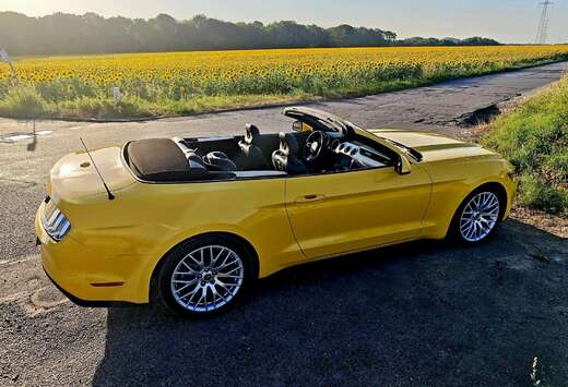 Ford Convertible 2.3 EcoBoost
