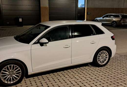 Audi 1.6 TDi Design