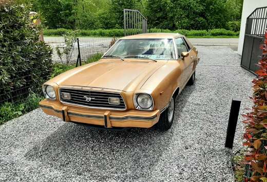 Ford Ford Mustang 1978