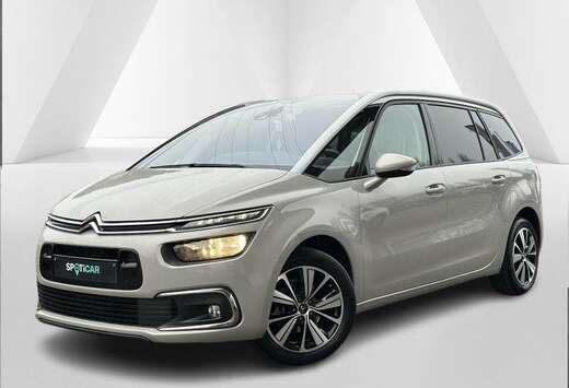 Citroen Shine 7 places + Hayon elect