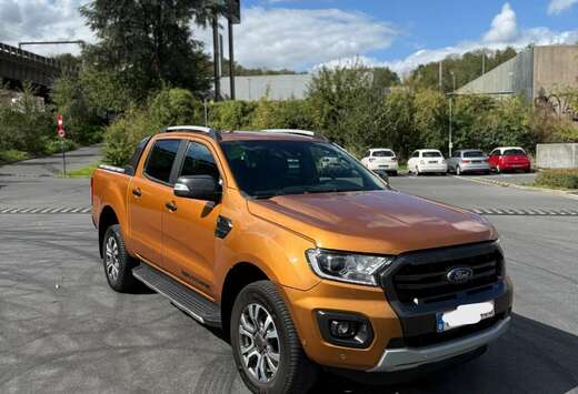 Ford 2.0 BiT EcoBlue Raptor (EU6.2)