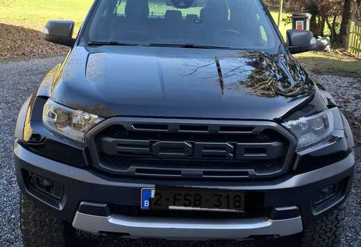 Ford 2.0 BiT EcoBlue Raptor (EU6.2)
