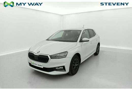 Skoda 1.0 TSI 95 Selection